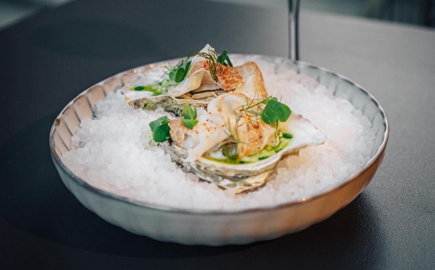 Top Restaurants in Köln | PULS | Mr. Köln | Foto: PULS